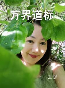 万界道标万界道标